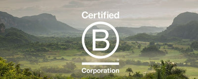 Le label B Corp c'est quoi ?